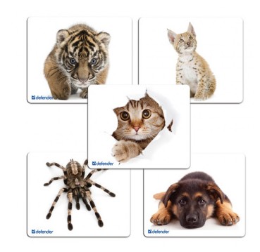    DEFENDER (50706) SILK - 10  