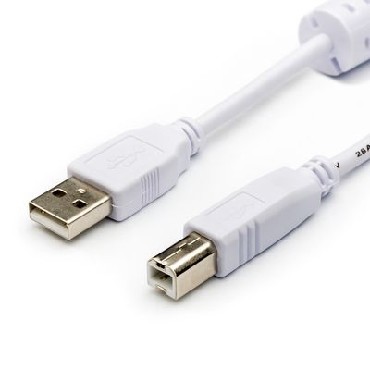  ATCOM (3795)  USB 2.0 AM/BM - 1,8 