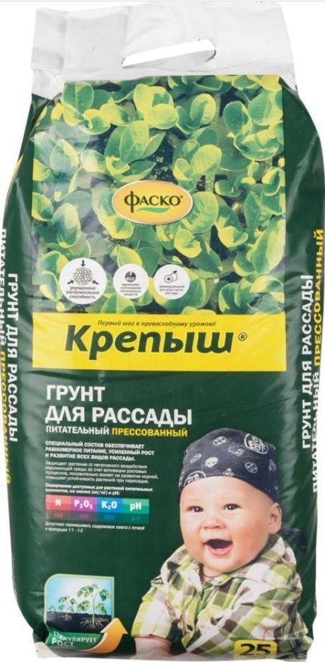 �������� ��������� ������ ����� ��������� 25�