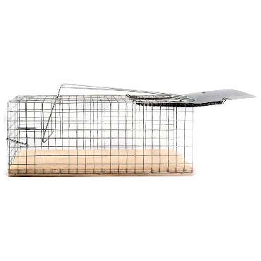 ���. �������������� ����� ��� ���������� "�������" (311206)