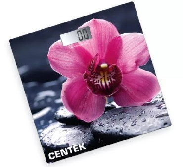  CENTEK CT-2421 