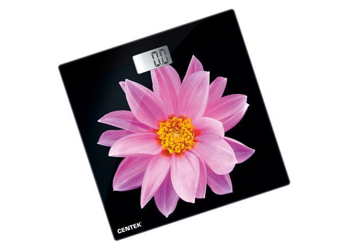  CENTEK CT-2416 Pink Flower