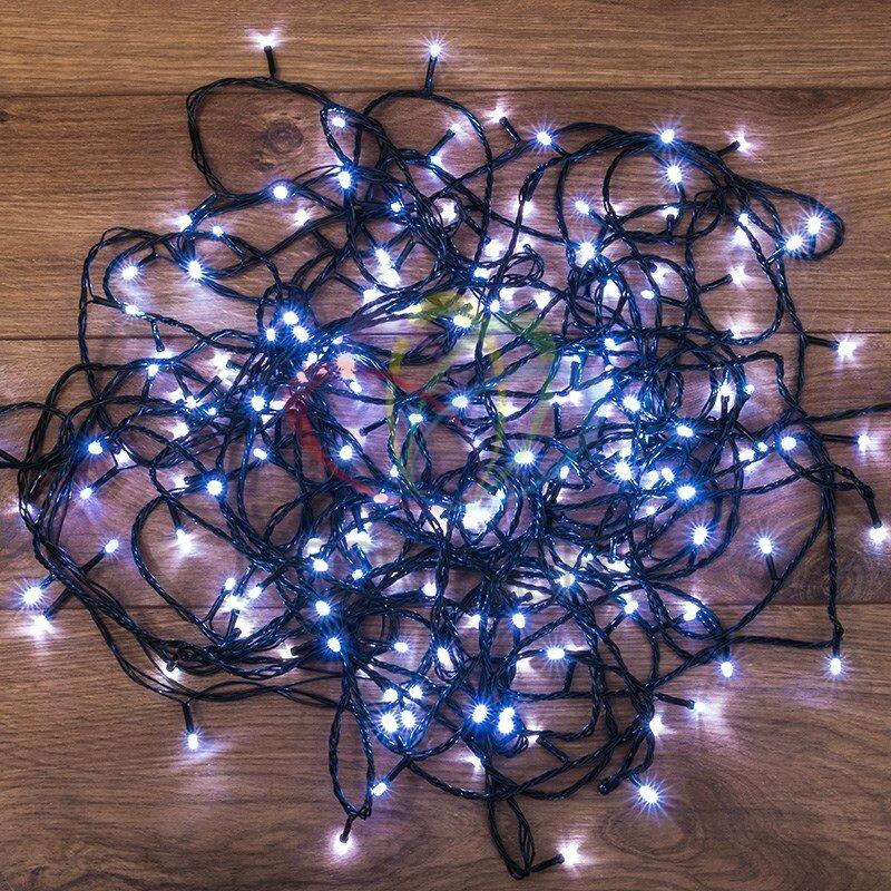  NEON-NIGHT (303-106)  200 LED  20 ,  -