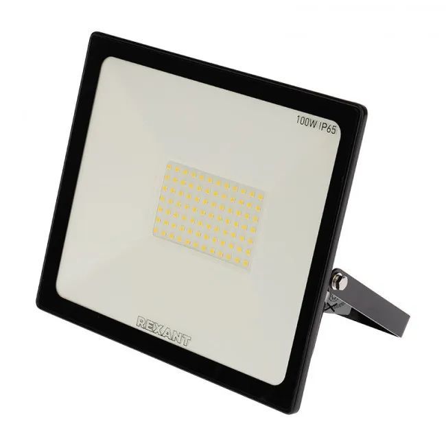   REXANT (605-005) 100  200-260 IP65 8000  6500 K