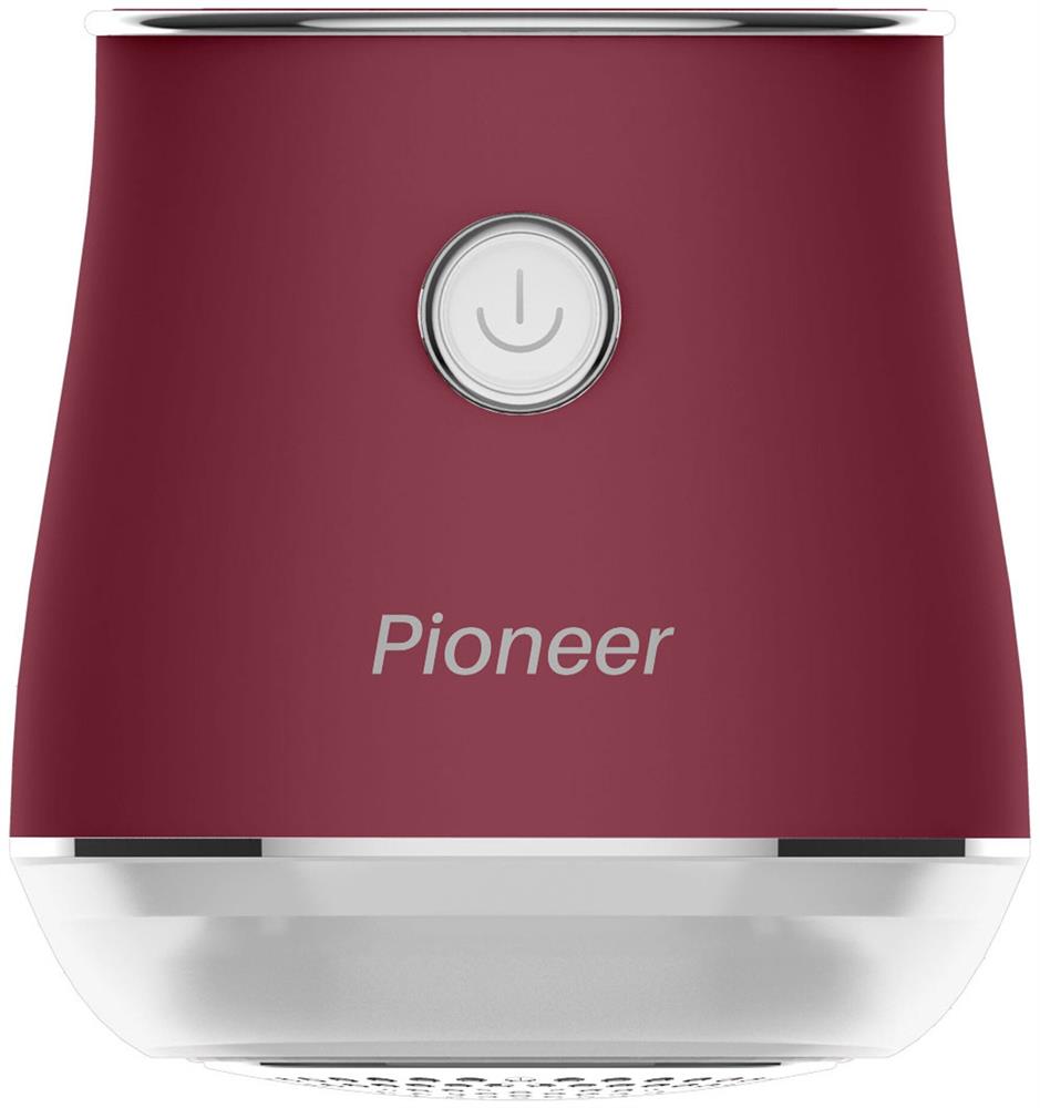  PIONEER LR14 (13917)