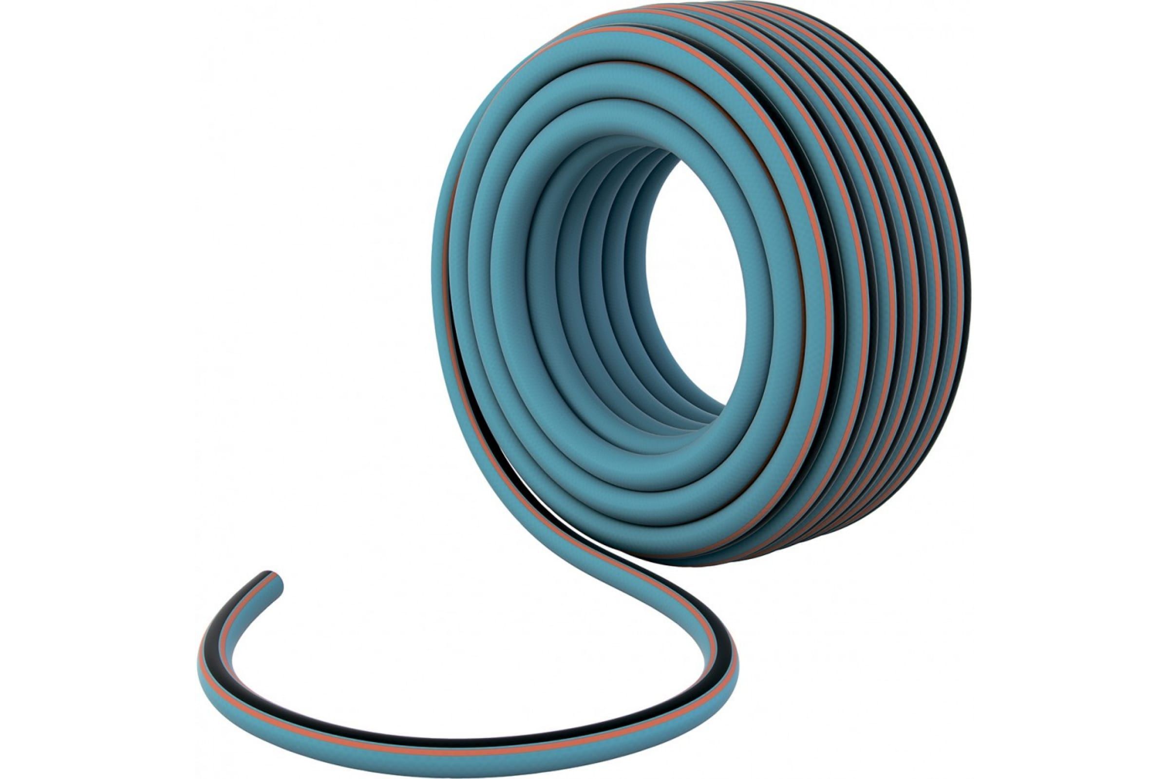 ����� PALISAD ����� ���������� ������������,...