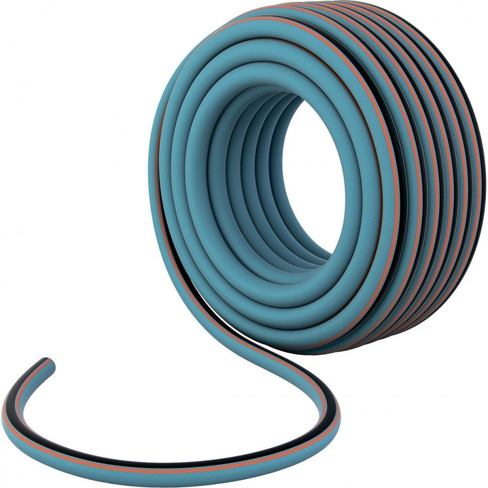 ����� PALISAD ����� ���������� ������������,...