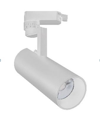 ����������� ������������ ���������� ESCADA 20029TRA/02 LED 30W 4200K �����