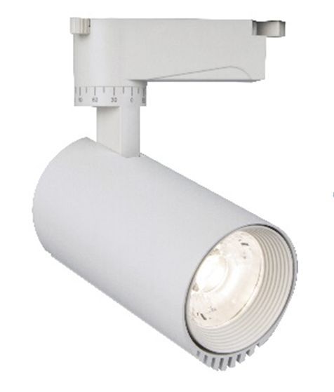 ����������� ������������ ���������� ESCADA 20031TRA/01 LED 10W 4200K �����