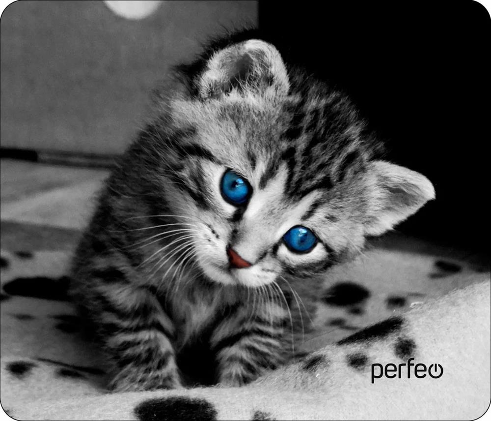  PERFEO (PF_D0655) "Cat"