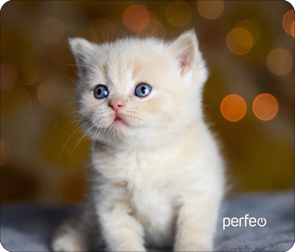  PERFEO (PF_D0658) "Cat"
