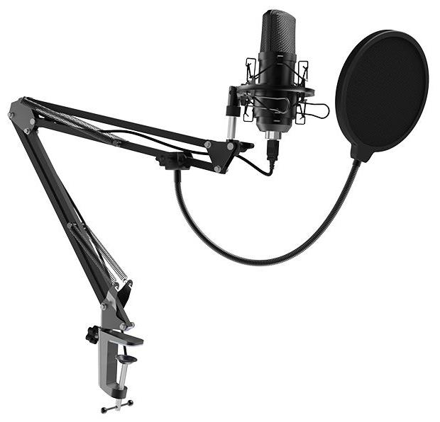 Микрофон RITMIX RDM-169 черный