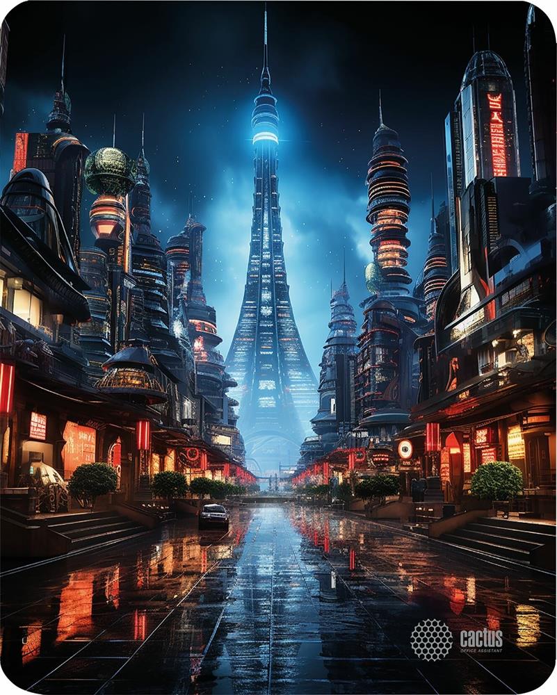 ������ ��� ���� CACTUS City 300x250x3��...