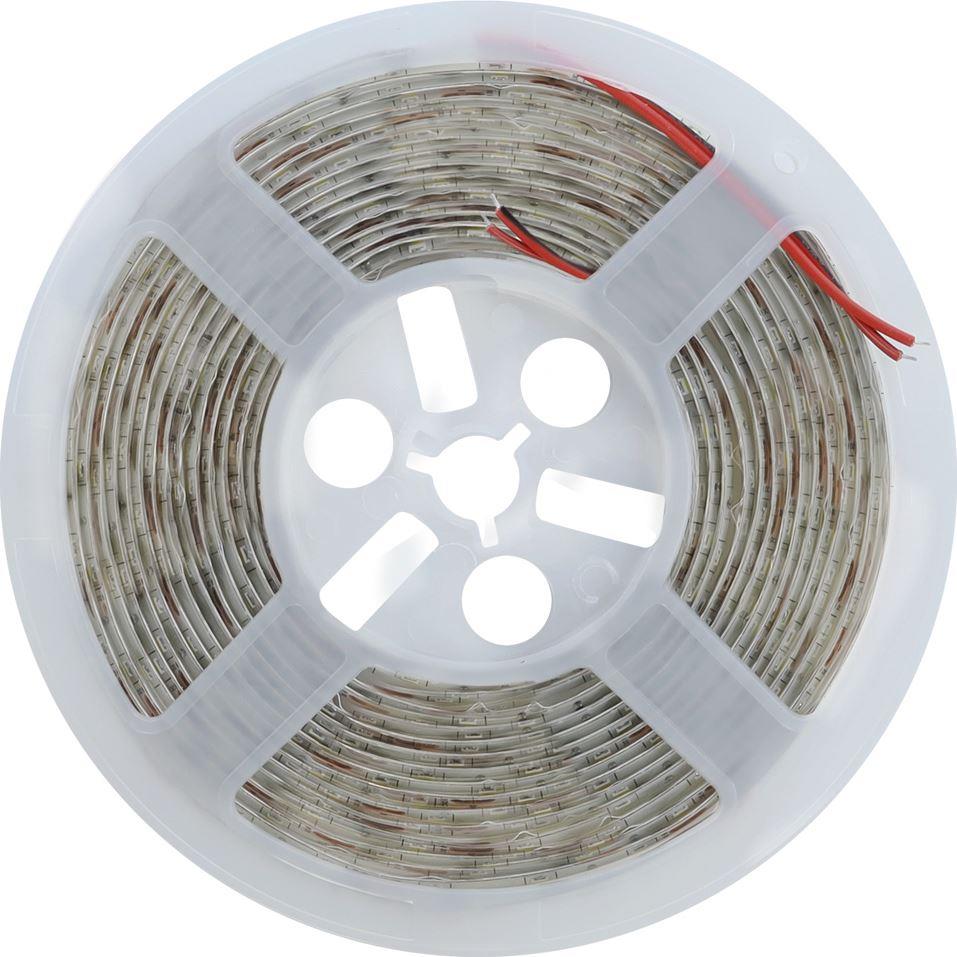 led- SMARTBUY (SBL-IP65-24V-14-4-6500K) LED  24V