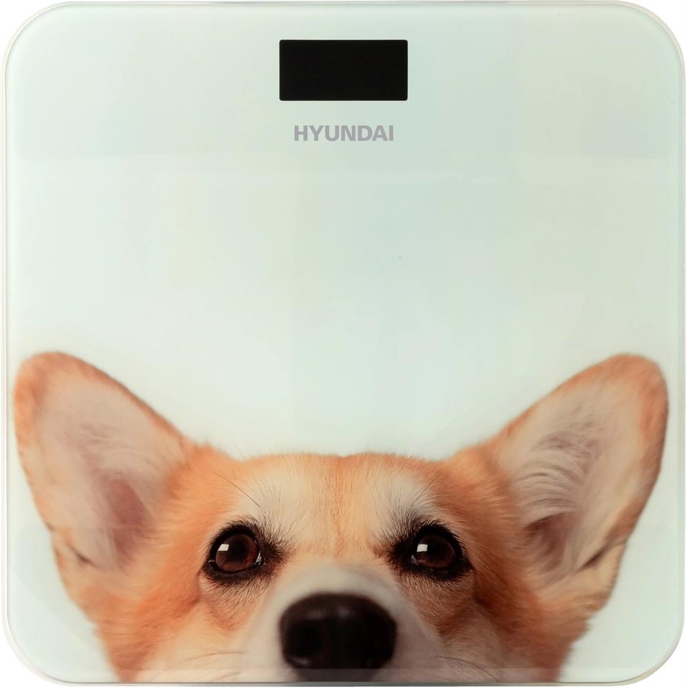 ���� ��������� HYUNDAI H-BS03671