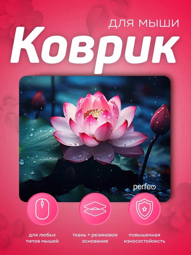 ������ ��� ���� PERFEO (PF_E1773) �����