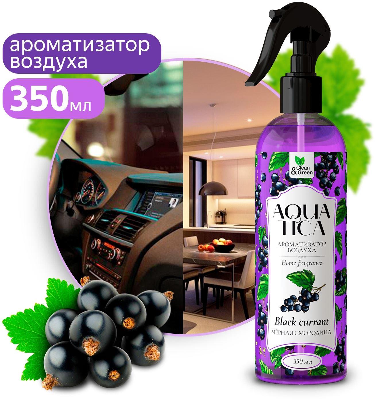   CLEAN&GREEN CG8269 Aquatica "Black currant/