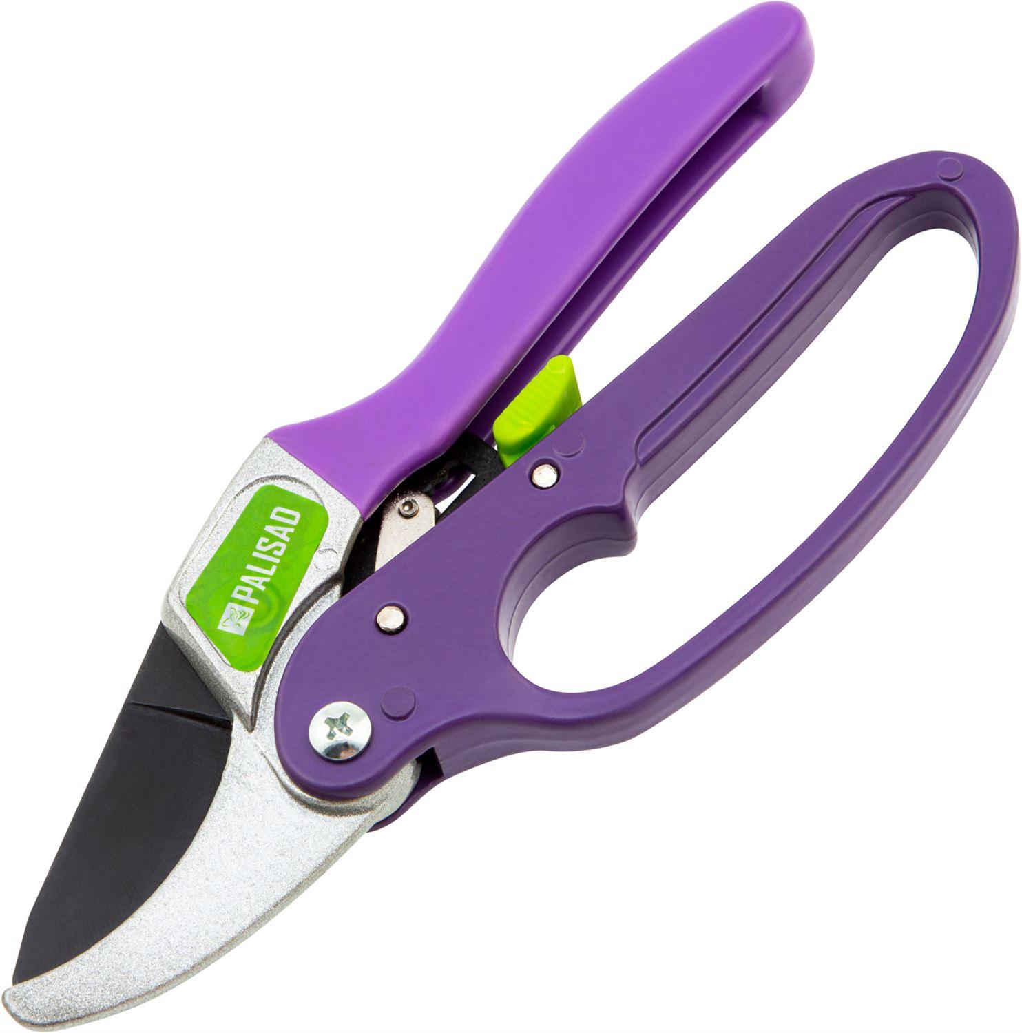 ������� PALISAD ������� , 200 ��, �������� ��������, ������������� ������������