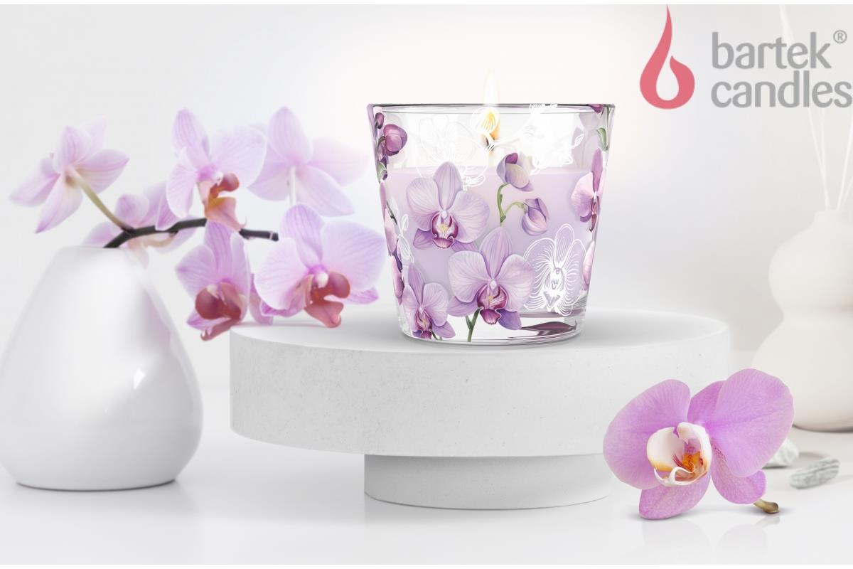  BARTEK   (Orchid Phalaenopsis) 115  