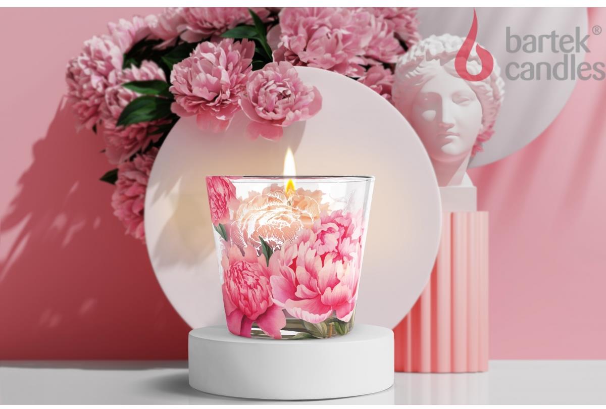  BARTEK -  (Peony Pink...