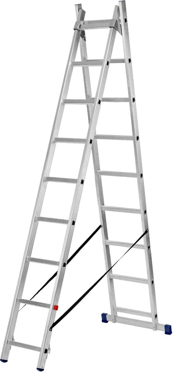  ������� ��������, 2 � 9 ��������, �����������,...