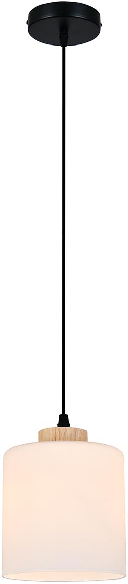  ESCADA 160002/A/1P E27*60W Black