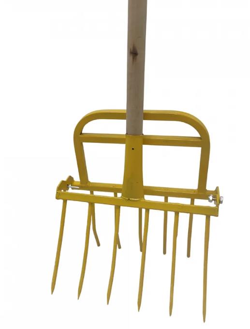  ���� �������� �������-6 ������-���������...