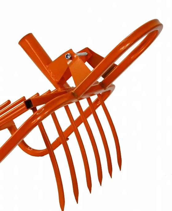  ���� �������� �������-� ������-���������...