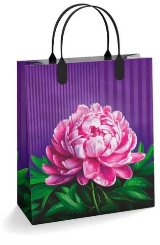  �������� (���63446) 23x27�� �������� - �����