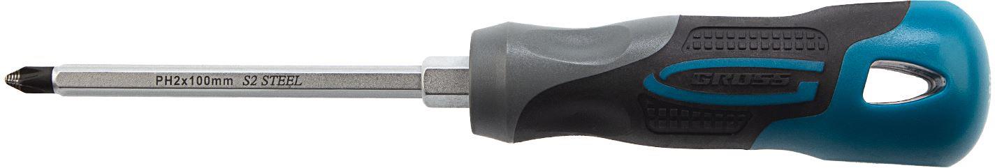  GROSS �������� PH2 x 100 ��, S2,...