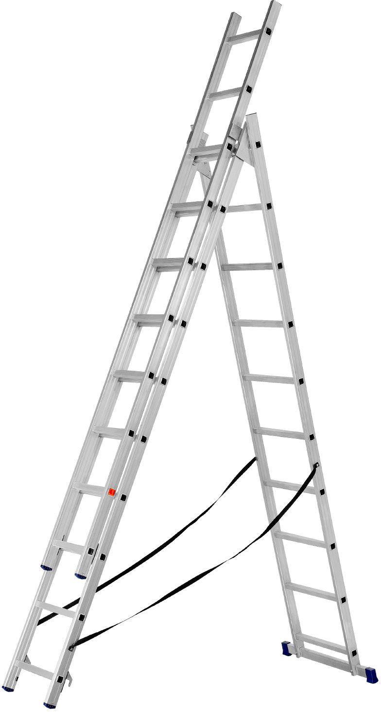  ������� ��������, 3 � 10 ��������,...