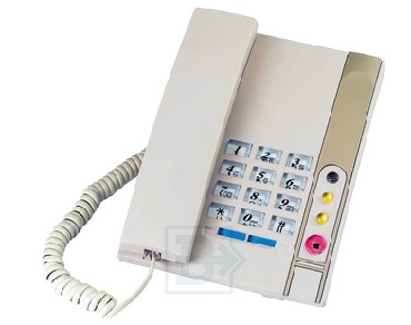 ������� ��������� ������ 313/06 IVORY